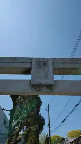 小島神社の鳥居