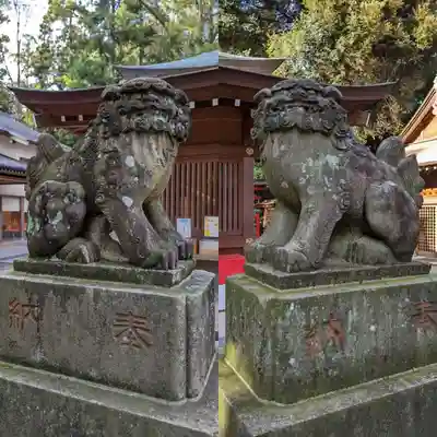 岩槻久伊豆神社の狛犬