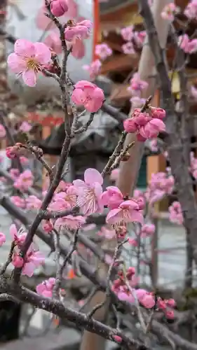 長岡天満宮の自然