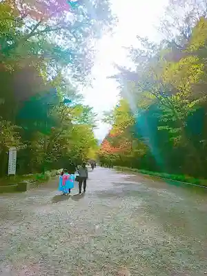北海道神宮の七五三参