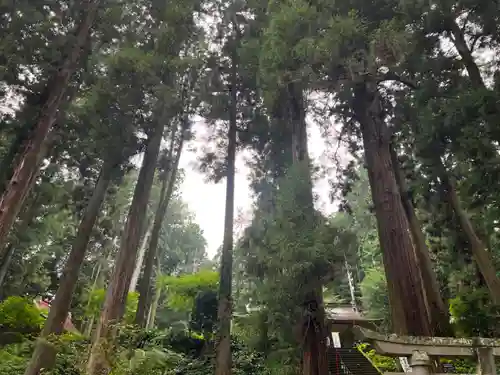 大宮温泉神社(栃木県)
