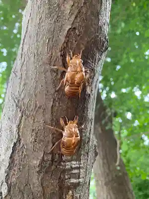小野神社(東京都)