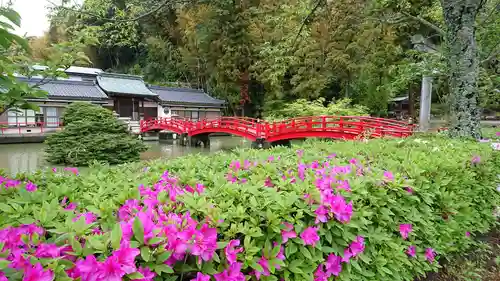 真福寺の庭園