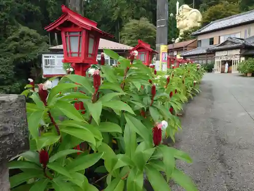 中之嶽神社(群馬県)