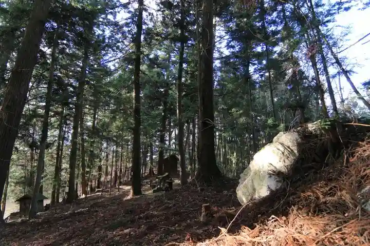 鹿島大神宮の自然