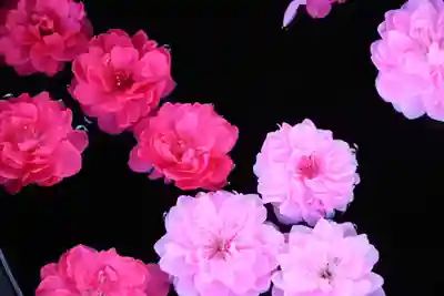 大鏑神社の手水舎