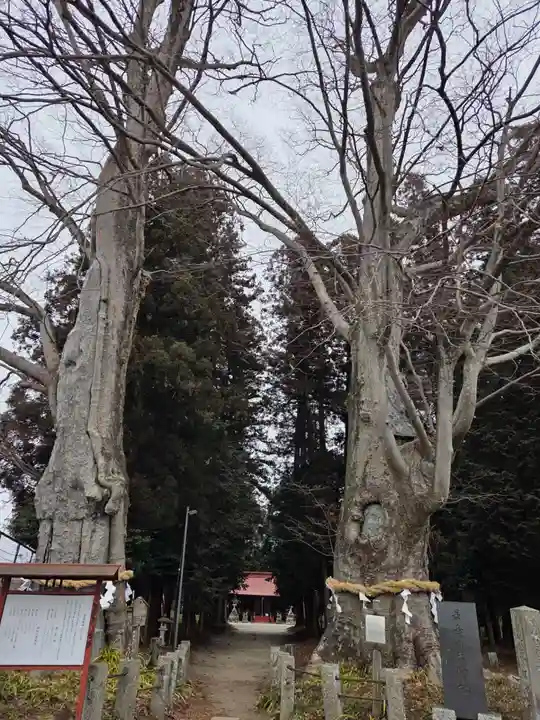 智賀都神社(栃木県)