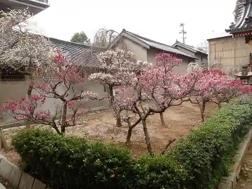 道明寺天満宮の庭園