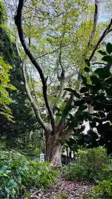 函館八幡宮(北海道)