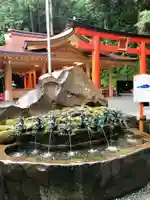 九頭龍神社本宮の手水舎