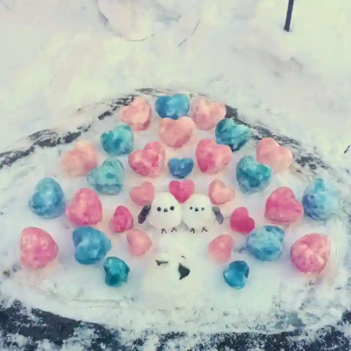 彌彦神社 (伊夜日子神社)(北海道)