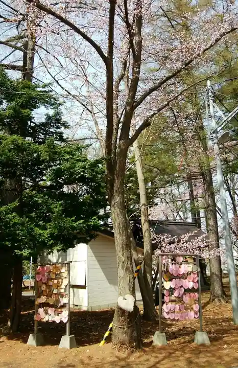 大谷地神社の自然