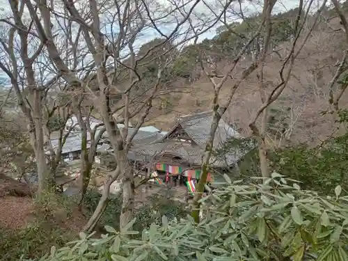 岡寺（龍蓋寺）(奈良県)