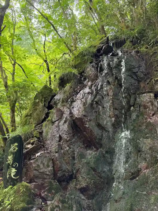 花園神社の自然