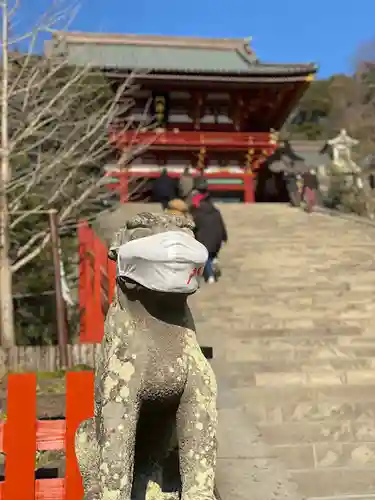 鶴岡八幡宮の感染症対策