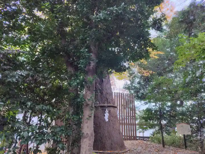 鎮守氷川神社(埼玉県)