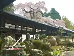 十輪寺の庭園