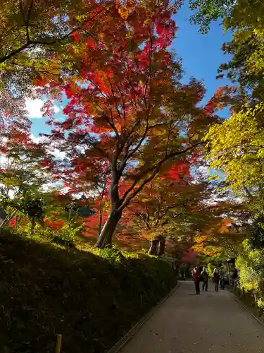 中尊寺の景色