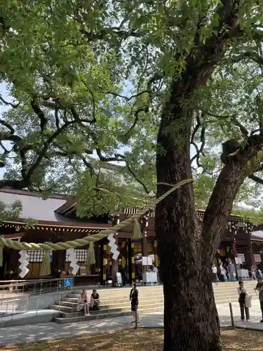 明治神宮(東京都)