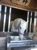 多度大社(三重県)