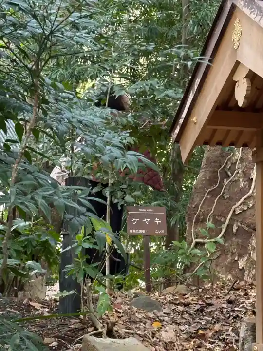 今宮神社(静岡県)