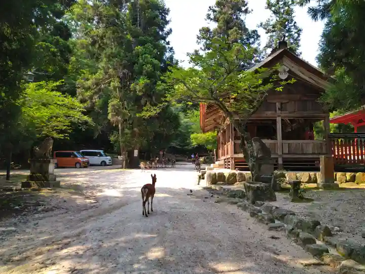 大元神社(厳島神社境外摂社)(広島県)