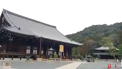 知恩院の本殿・本堂