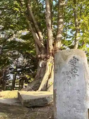 龍神社(美幌神社)(北海道)