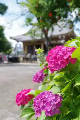 福王山  慈眼寺(東京都)