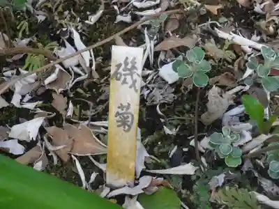 大巧寺(神奈川県)