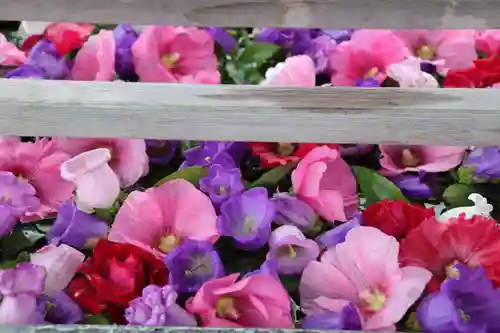 豊景神社の手水舎
