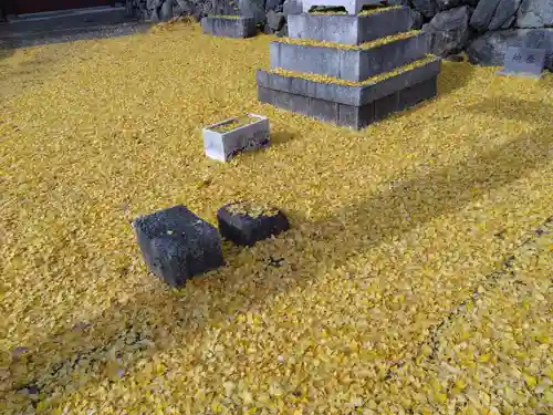 天川命神社(滋賀県)