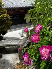 松本山　地福禅寺(滋賀県)