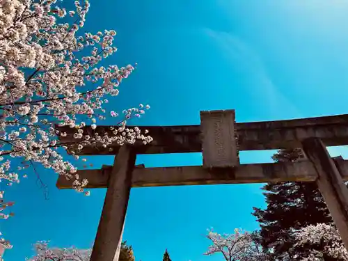 宇多須神社の鳥居