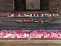 霊鑑寺門跡(京都府)