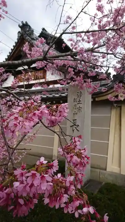 長徳寺(京都府)