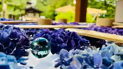 土津神社|こどもと出世の神さまの手水舎