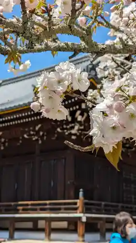 仁和寺(京都府)