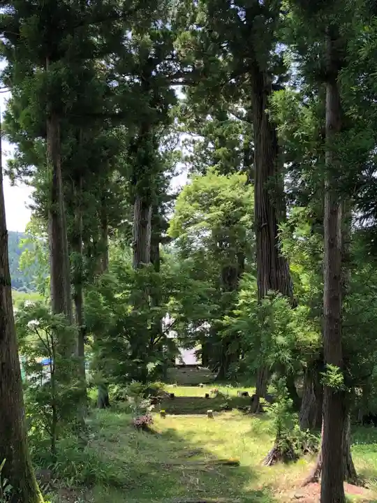 慈雲寺の自然