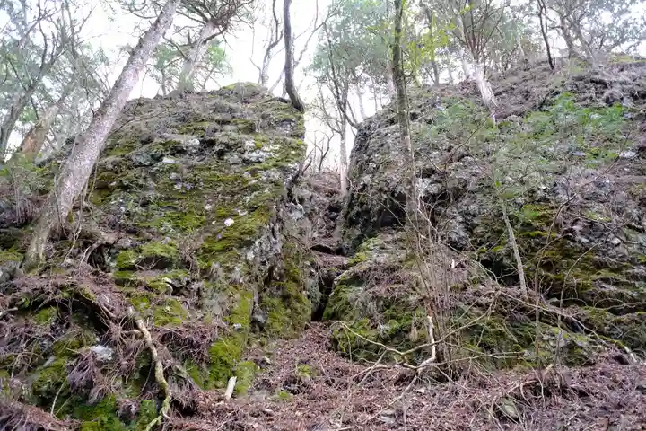 玉置神社の自然