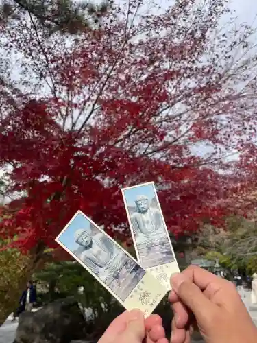 高徳院の授与品その他