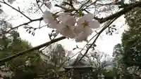 河内阿蘇神社の自然
