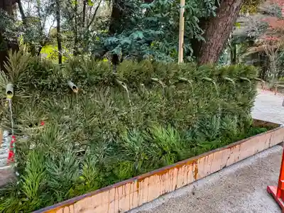 賀茂御祖神社（下鴨神社）(京都府)
