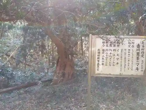 諏訪神社(茨城県)