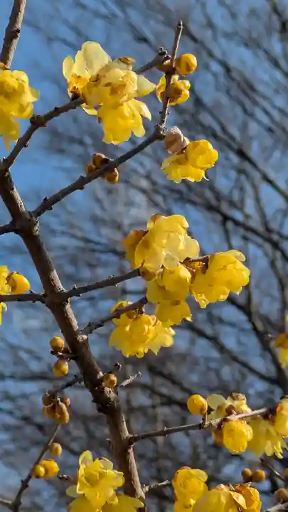 玉田神社(京都府)