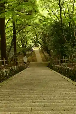 鰐淵寺(島根県)