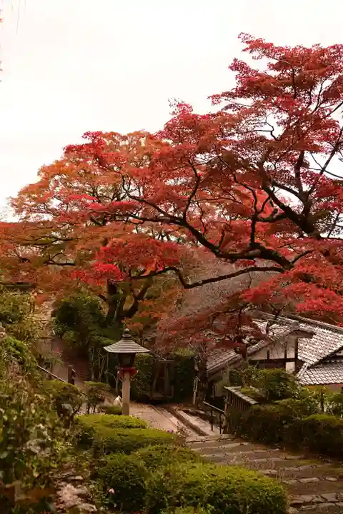 善峯寺(京都府)