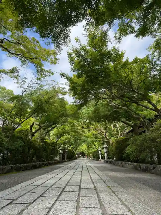 石山寺の{uncategorized: "未分類", other: "その他", undefined: "問題あり", building: "その他建物", grave: "お墓", sacred_gate: "鳥居", guardian: "狛犬", statue: "像", buddha: "仏像", history: "歴史", nature: "自然", garden: "庭園", animal: "動物", pagoda: "塔", temizu: "手水舎", mountain_gate: "山門・神門", sanctuary: "本殿・本堂", subordinate: "末社・摂社", art: "芸術", scenery: "景色", jizo: "地蔵", ema: "絵馬", goshuin: "御朱印", omikuji: "おみくじ", items: "授与品その他", amulet: "お守り", goshuincho: "御朱印帳", eats: "食事", festival: "お祭り", votive_dance: "神楽", shichigosan: "七五三参", wedding: "結婚式", experience: "体験その他", initially: "初詣", around: "周辺", anti_infection: "感染症対策"}