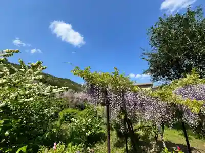 白毫寺熊野権現社(兵庫県)