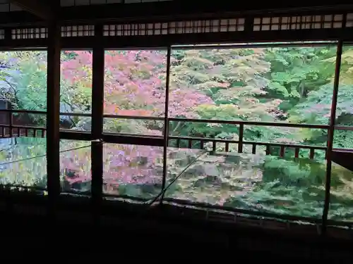 光明寺瑠璃光院(京都府)
